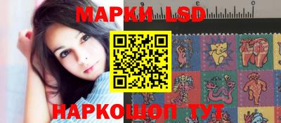 крисы Кузнецк