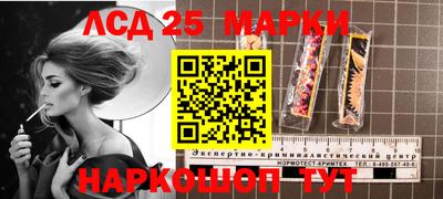 крисы Кузнецк