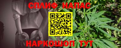 стаф Кудрово