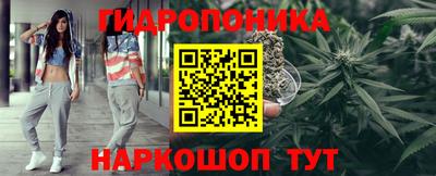 крисы Кузнецк
