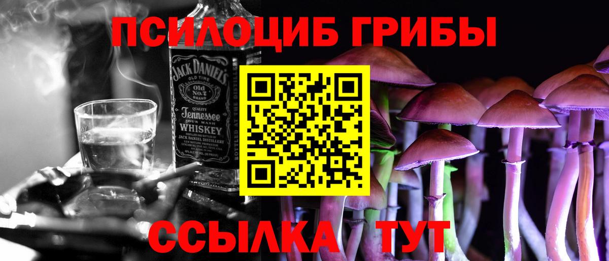 Галлюциногенные грибы Psilocybe Нефтеюганск